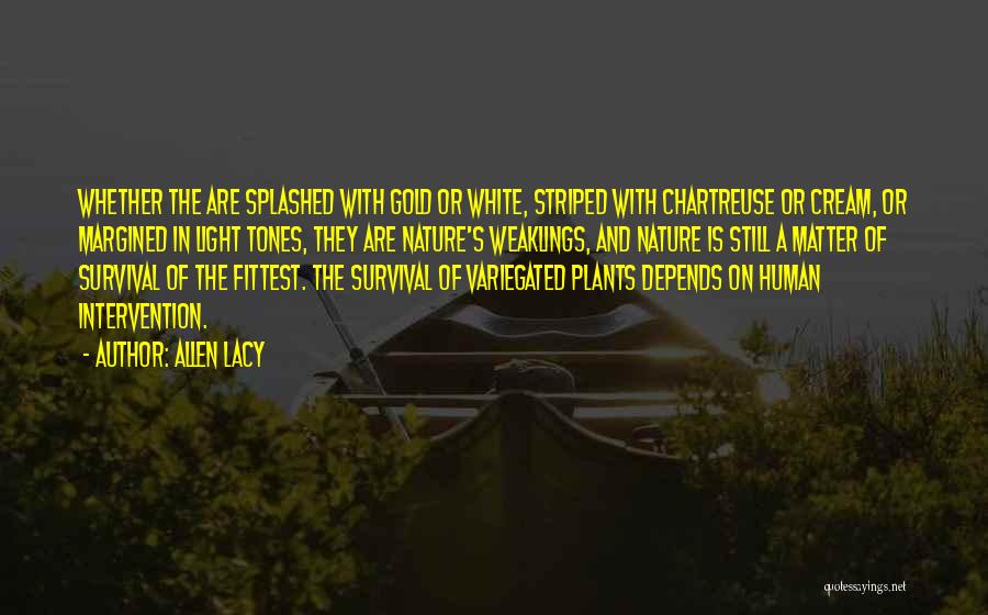 Allen Lacy Quotes: Whether The Are Splashed With Gold Or White, Striped With Chartreuse Or Cream, Or Margined In Light Tones, They Are