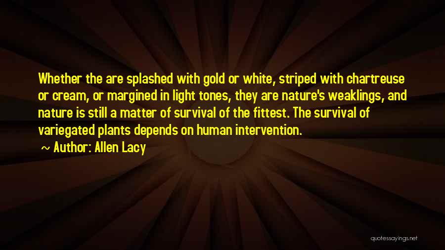 Allen Lacy Quotes: Whether The Are Splashed With Gold Or White, Striped With Chartreuse Or Cream, Or Margined In Light Tones, They Are