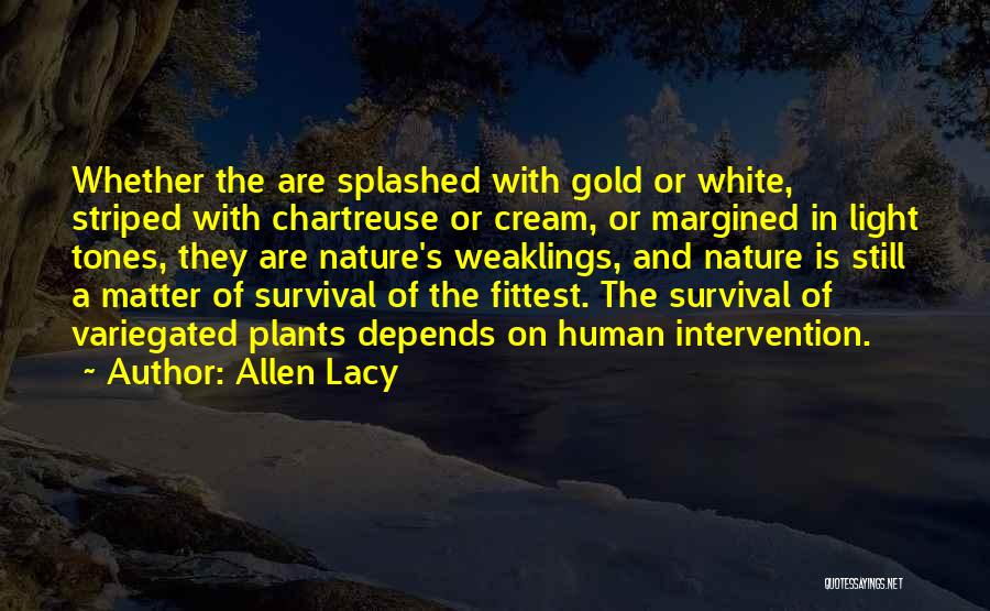 Allen Lacy Quotes: Whether The Are Splashed With Gold Or White, Striped With Chartreuse Or Cream, Or Margined In Light Tones, They Are