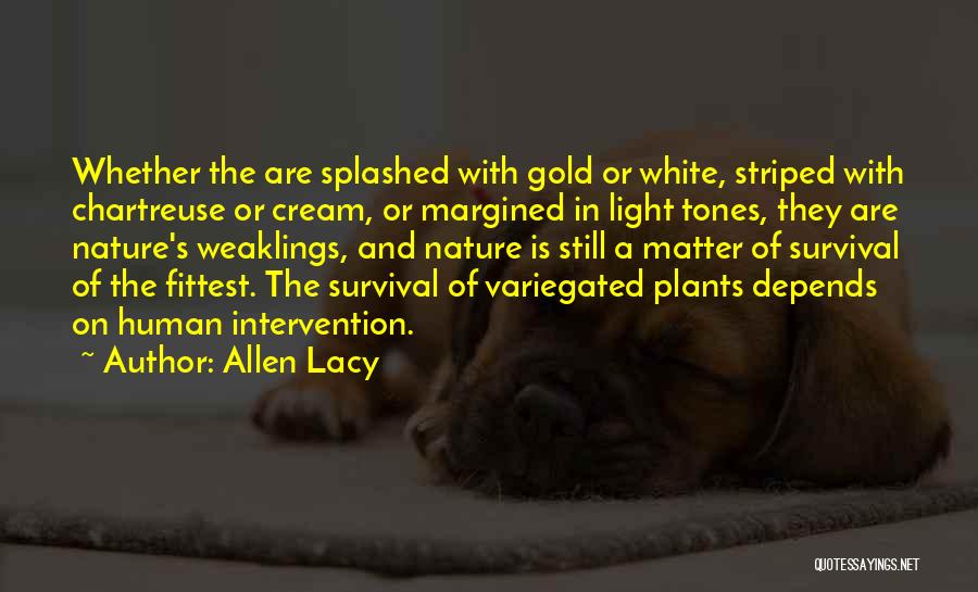 Allen Lacy Quotes: Whether The Are Splashed With Gold Or White, Striped With Chartreuse Or Cream, Or Margined In Light Tones, They Are