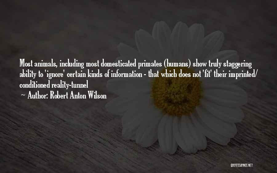 Robert Anton Wilson Quotes: Most Animals, Including Most Domesticated Primates (humans) Show Truly Staggering Ability To 'ignore' Certain Kinds Of Information - That Which