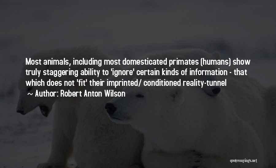 Robert Anton Wilson Quotes: Most Animals, Including Most Domesticated Primates (humans) Show Truly Staggering Ability To 'ignore' Certain Kinds Of Information - That Which