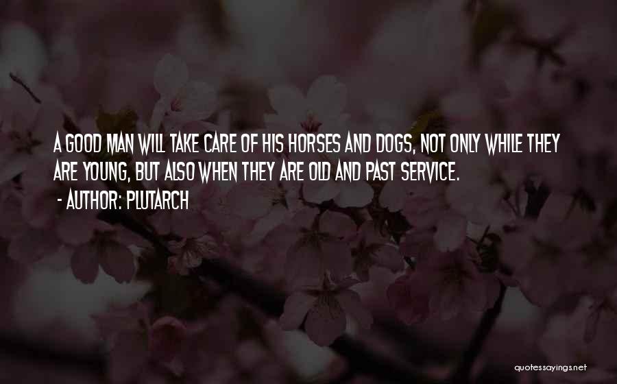 Plutarch Quotes: A Good Man Will Take Care Of His Horses And Dogs, Not Only While They Are Young, But Also When