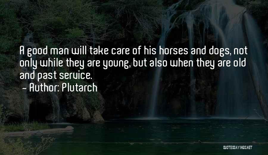 Plutarch Quotes: A Good Man Will Take Care Of His Horses And Dogs, Not Only While They Are Young, But Also When