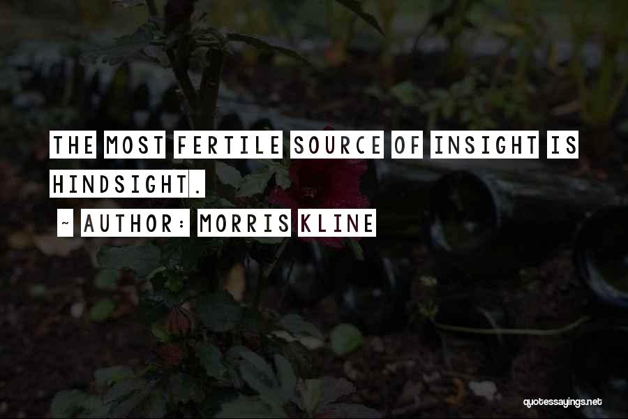 Morris Kline Quotes: The Most Fertile Source Of Insight Is Hindsight.