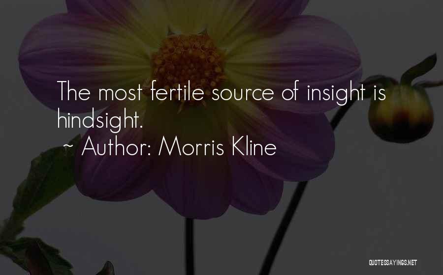 Morris Kline Quotes: The Most Fertile Source Of Insight Is Hindsight.