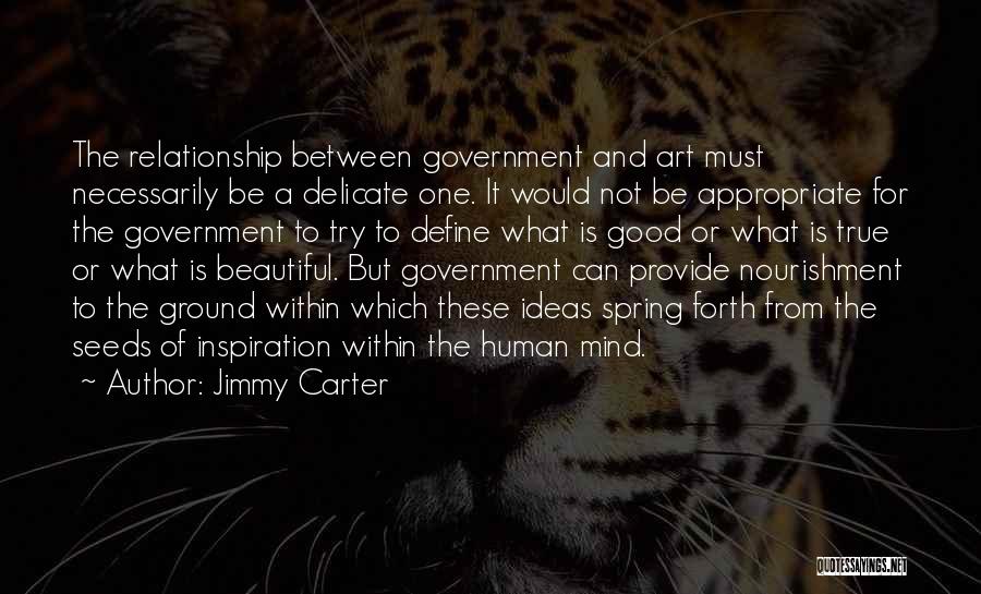 Jimmy Carter Quotes: The Relationship Between Government And Art Must Necessarily Be A Delicate One. It Would Not Be Appropriate For The Government