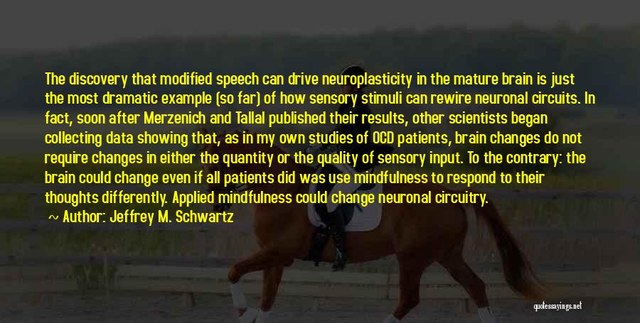 Jeffrey M. Schwartz Quotes: The Discovery That Modified Speech Can Drive Neuroplasticity In The Mature Brain Is Just The Most Dramatic Example (so Far)