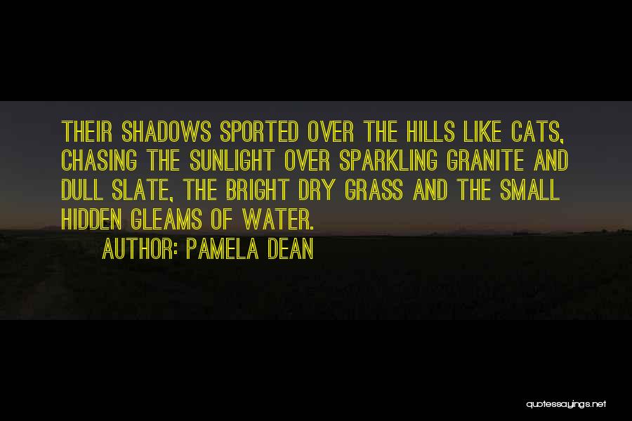 Pamela Dean Quotes: Their Shadows Sported Over The Hills Like Cats, Chasing The Sunlight Over Sparkling Granite And Dull Slate, The Bright Dry