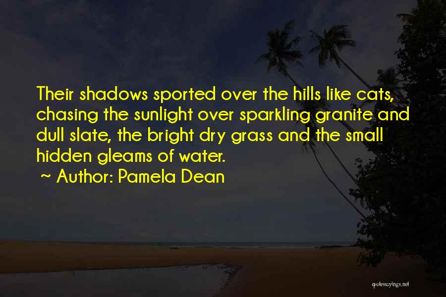 Pamela Dean Quotes: Their Shadows Sported Over The Hills Like Cats, Chasing The Sunlight Over Sparkling Granite And Dull Slate, The Bright Dry