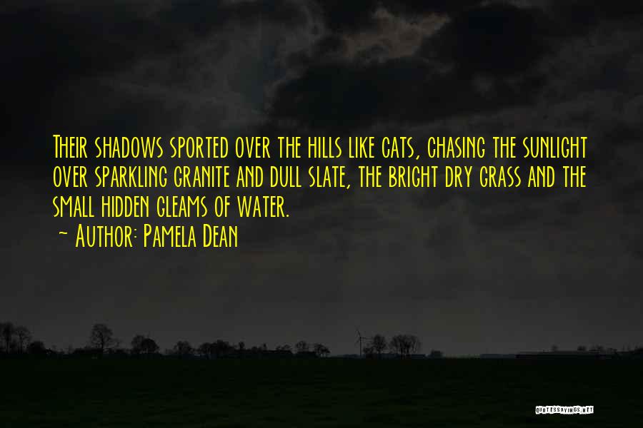 Pamela Dean Quotes: Their Shadows Sported Over The Hills Like Cats, Chasing The Sunlight Over Sparkling Granite And Dull Slate, The Bright Dry