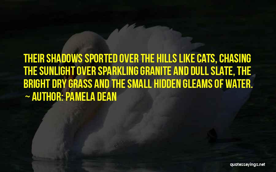 Pamela Dean Quotes: Their Shadows Sported Over The Hills Like Cats, Chasing The Sunlight Over Sparkling Granite And Dull Slate, The Bright Dry