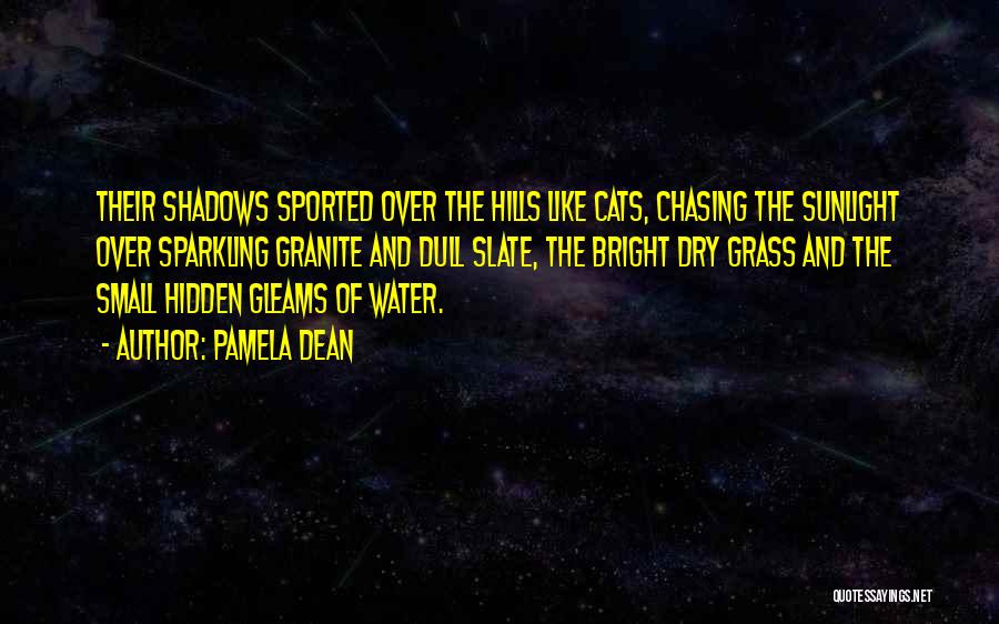 Pamela Dean Quotes: Their Shadows Sported Over The Hills Like Cats, Chasing The Sunlight Over Sparkling Granite And Dull Slate, The Bright Dry
