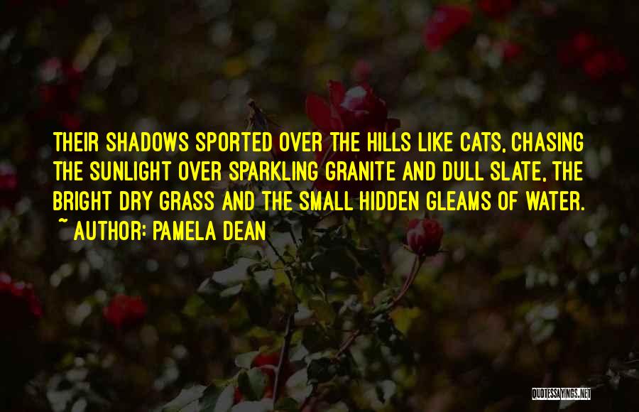 Pamela Dean Quotes: Their Shadows Sported Over The Hills Like Cats, Chasing The Sunlight Over Sparkling Granite And Dull Slate, The Bright Dry