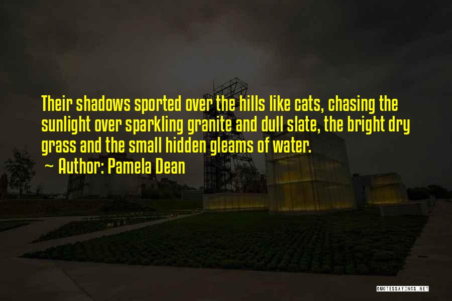 Pamela Dean Quotes: Their Shadows Sported Over The Hills Like Cats, Chasing The Sunlight Over Sparkling Granite And Dull Slate, The Bright Dry