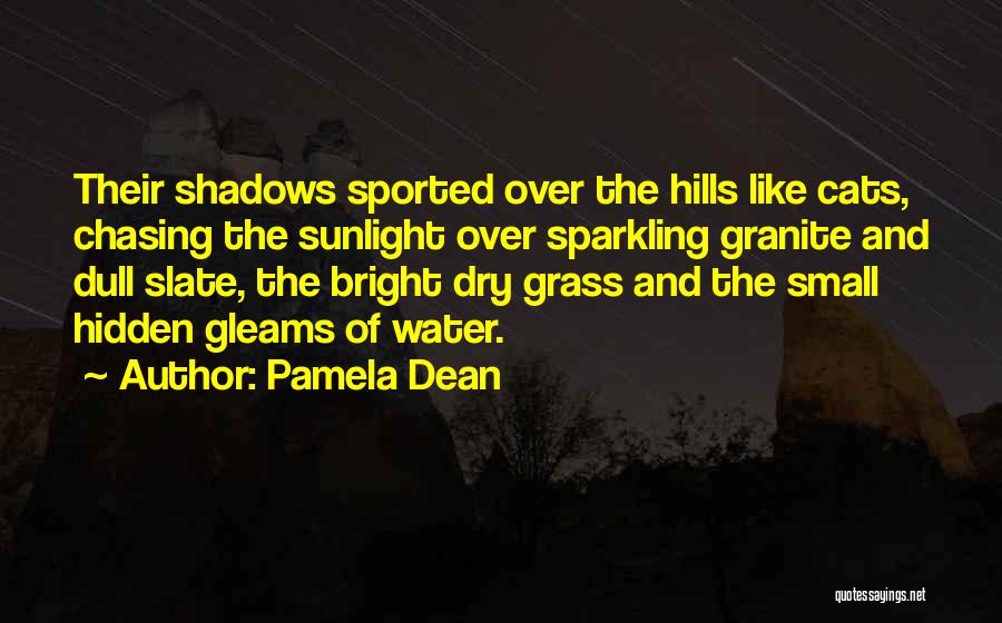 Pamela Dean Quotes: Their Shadows Sported Over The Hills Like Cats, Chasing The Sunlight Over Sparkling Granite And Dull Slate, The Bright Dry