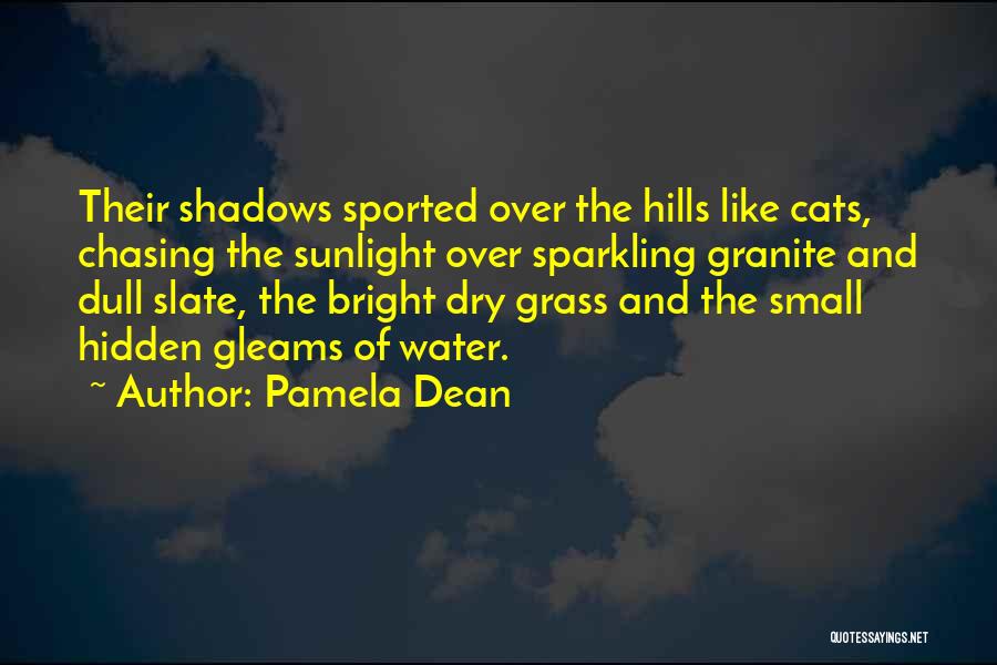 Pamela Dean Quotes: Their Shadows Sported Over The Hills Like Cats, Chasing The Sunlight Over Sparkling Granite And Dull Slate, The Bright Dry