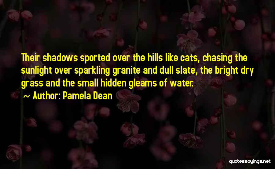 Pamela Dean Quotes: Their Shadows Sported Over The Hills Like Cats, Chasing The Sunlight Over Sparkling Granite And Dull Slate, The Bright Dry