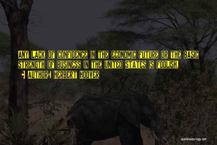 Herbert Hoover Quotes: Any Lack Of Confidence In The Economic Future Or The Basic Strength Of Business In The United States Is Foolish.