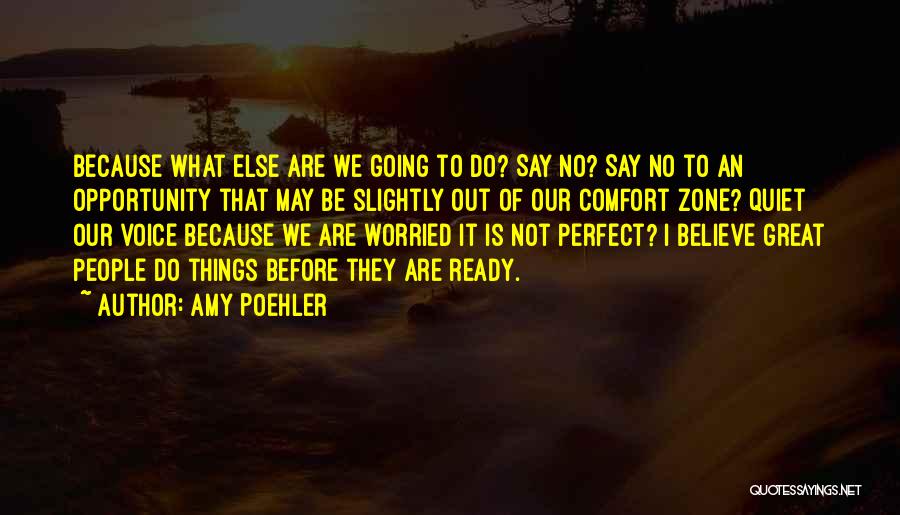 Amy Poehler Quotes: Because What Else Are We Going To Do? Say No? Say No To An Opportunity That May Be Slightly Out