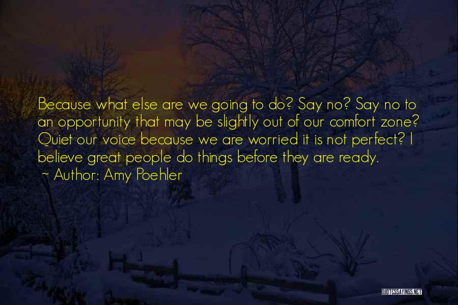 Amy Poehler Quotes: Because What Else Are We Going To Do? Say No? Say No To An Opportunity That May Be Slightly Out