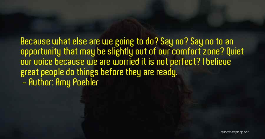 Amy Poehler Quotes: Because What Else Are We Going To Do? Say No? Say No To An Opportunity That May Be Slightly Out