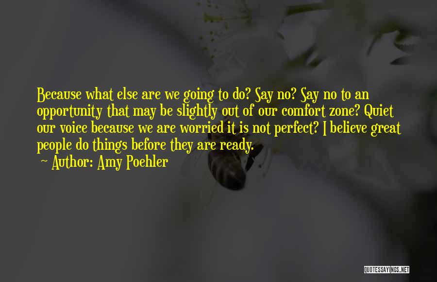 Amy Poehler Quotes: Because What Else Are We Going To Do? Say No? Say No To An Opportunity That May Be Slightly Out