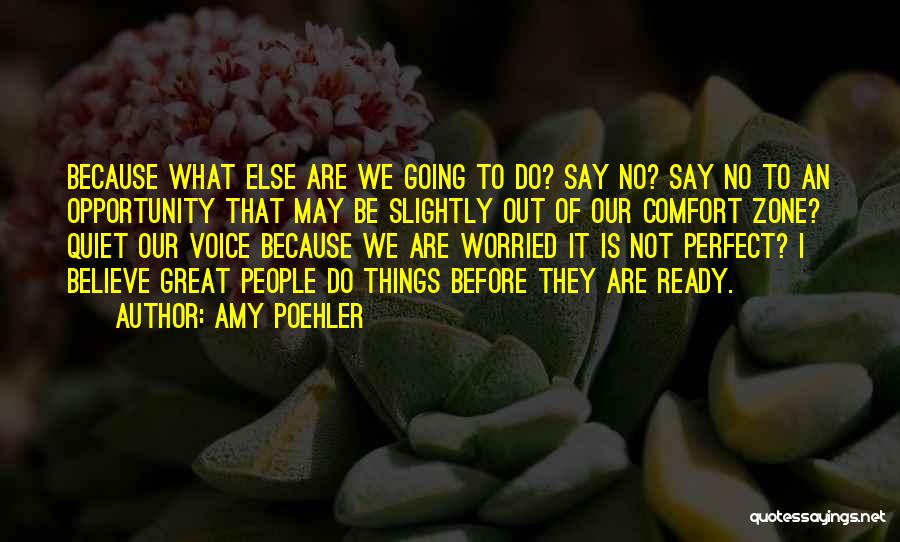 Amy Poehler Quotes: Because What Else Are We Going To Do? Say No? Say No To An Opportunity That May Be Slightly Out