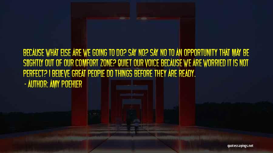 Amy Poehler Quotes: Because What Else Are We Going To Do? Say No? Say No To An Opportunity That May Be Slightly Out