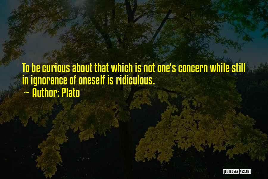 Plato Quotes: To Be Curious About That Which Is Not One's Concern While Still In Ignorance Of Oneself Is Ridiculous.