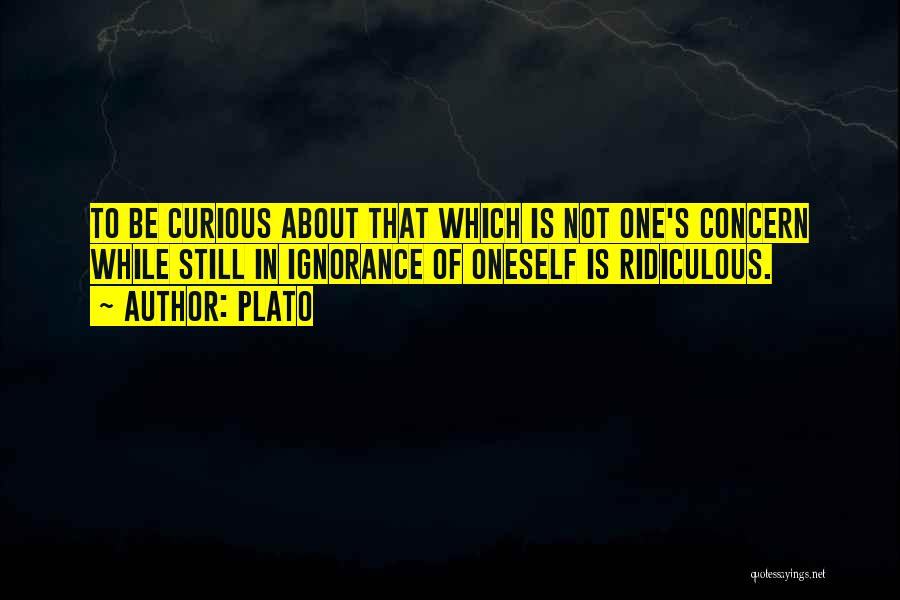 Plato Quotes: To Be Curious About That Which Is Not One's Concern While Still In Ignorance Of Oneself Is Ridiculous.