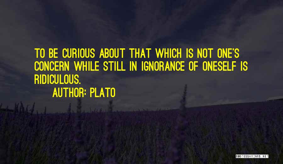 Plato Quotes: To Be Curious About That Which Is Not One's Concern While Still In Ignorance Of Oneself Is Ridiculous.