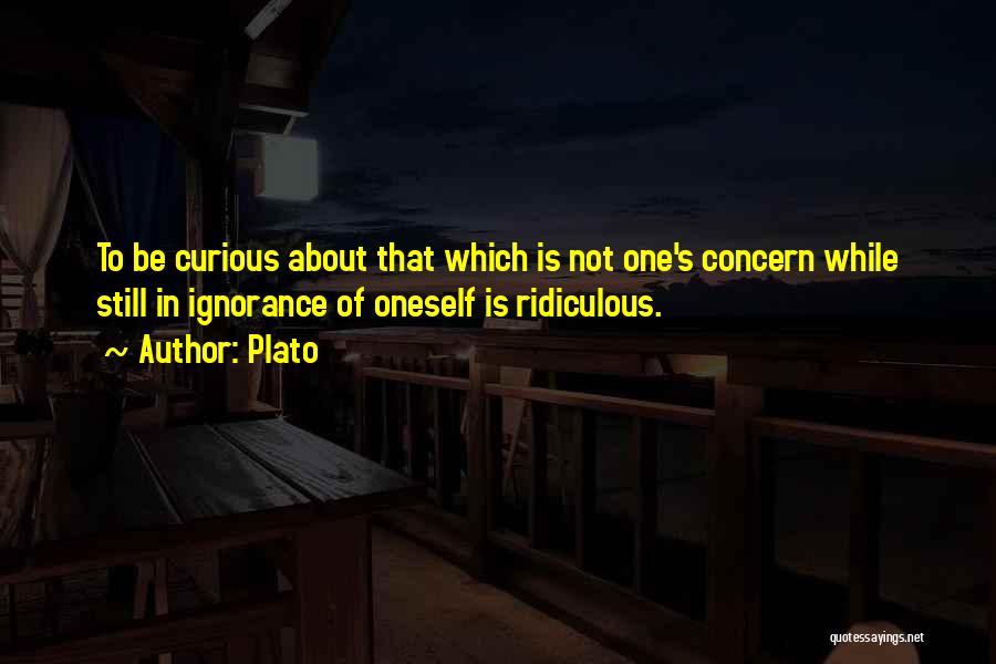 Plato Quotes: To Be Curious About That Which Is Not One's Concern While Still In Ignorance Of Oneself Is Ridiculous.