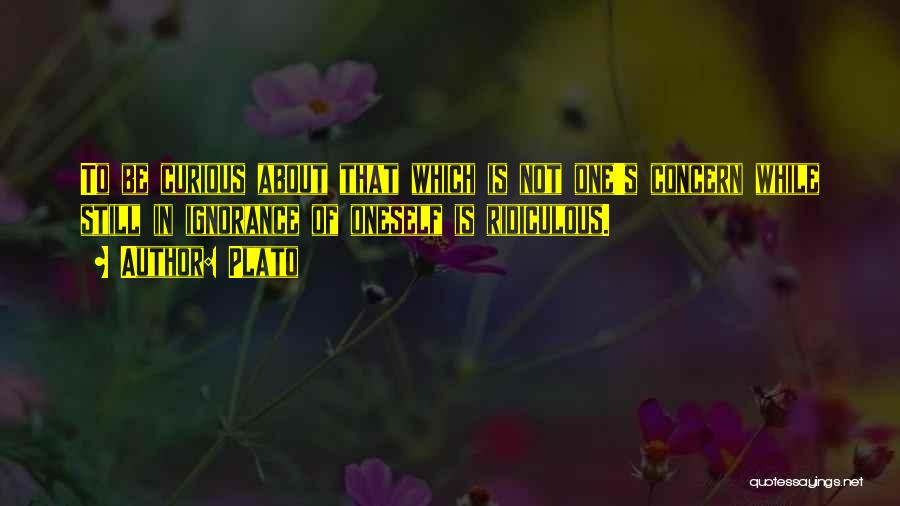 Plato Quotes: To Be Curious About That Which Is Not One's Concern While Still In Ignorance Of Oneself Is Ridiculous.