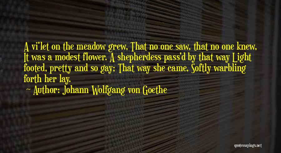 Johann Wolfgang Von Goethe Quotes: A Vi'let On The Meadow Grew, That No One Saw, That No One Knew, It Was A Modest Flower. A