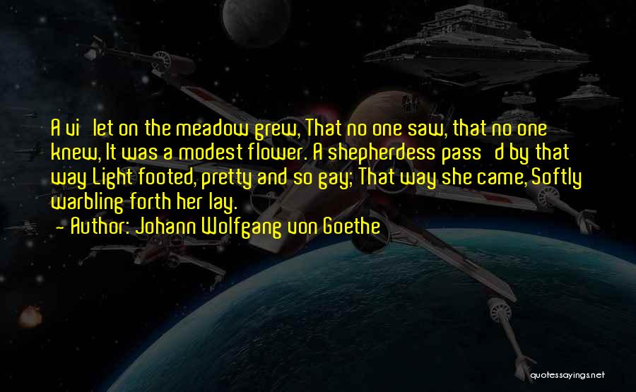 Johann Wolfgang Von Goethe Quotes: A Vi'let On The Meadow Grew, That No One Saw, That No One Knew, It Was A Modest Flower. A
