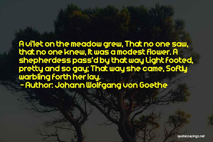 Johann Wolfgang Von Goethe Quotes: A Vi'let On The Meadow Grew, That No One Saw, That No One Knew, It Was A Modest Flower. A