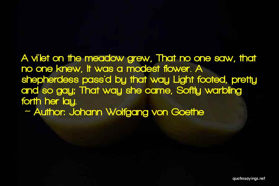 Johann Wolfgang Von Goethe Quotes: A Vi'let On The Meadow Grew, That No One Saw, That No One Knew, It Was A Modest Flower. A