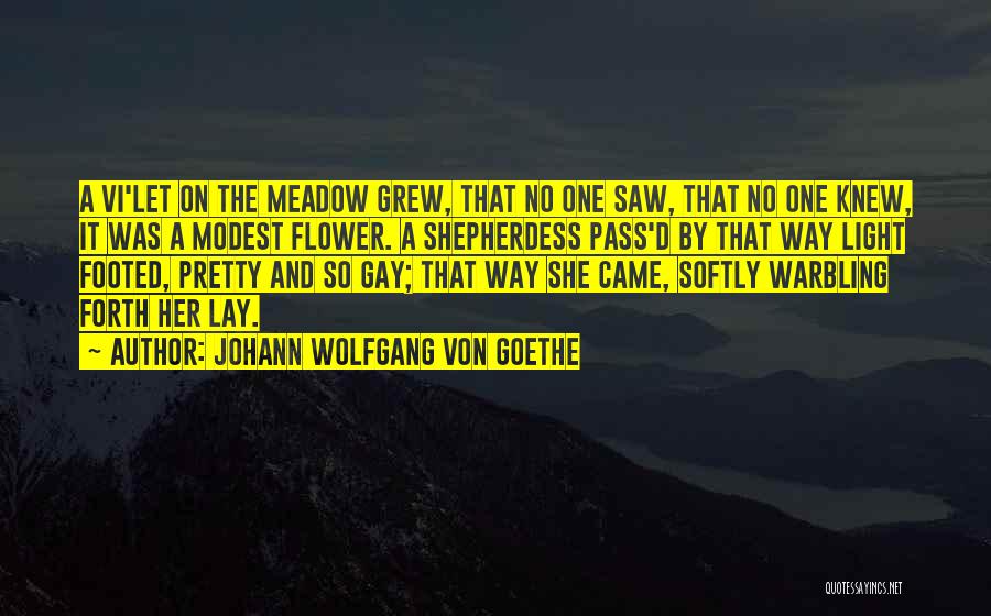 Johann Wolfgang Von Goethe Quotes: A Vi'let On The Meadow Grew, That No One Saw, That No One Knew, It Was A Modest Flower. A