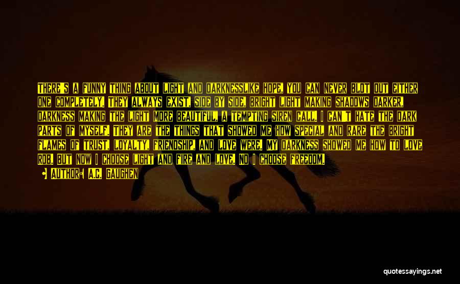 A.C. Gaughen Quotes: There's A Funny Thing About Light And Darknesslike Hope, You Can Never Blot Out Either One Completely. They Always Exist,