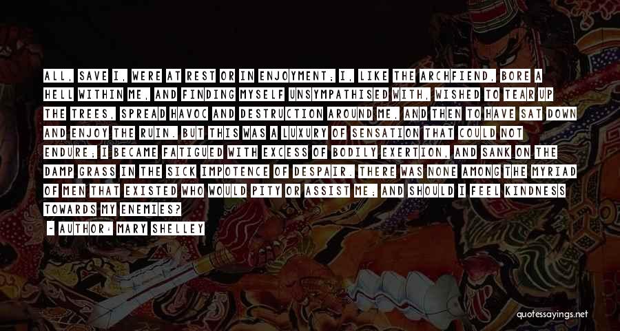 Mary Shelley Quotes: All, Save I, Were At Rest Or In Enjoyment; I, Like The Archfiend, Bore A Hell Within Me, And Finding