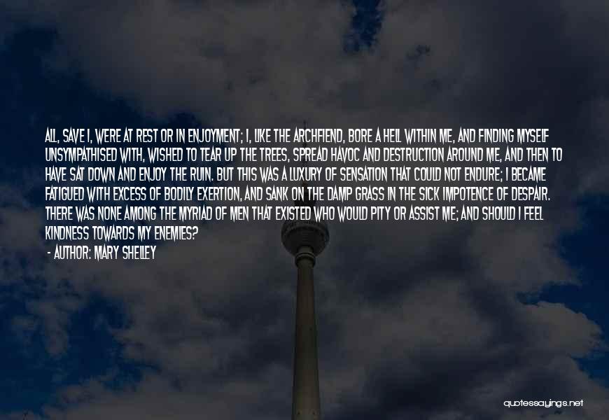 Mary Shelley Quotes: All, Save I, Were At Rest Or In Enjoyment; I, Like The Archfiend, Bore A Hell Within Me, And Finding