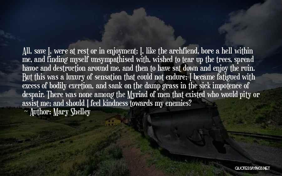 Mary Shelley Quotes: All, Save I, Were At Rest Or In Enjoyment; I, Like The Archfiend, Bore A Hell Within Me, And Finding