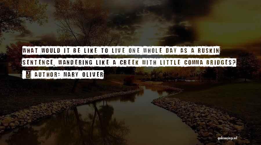 Mary Oliver Quotes: What Would It Be Like To Live One Whole Day As A Ruskin Sentence, Wandering Like A Creek With Little