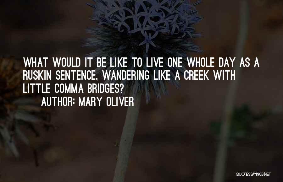 Mary Oliver Quotes: What Would It Be Like To Live One Whole Day As A Ruskin Sentence, Wandering Like A Creek With Little