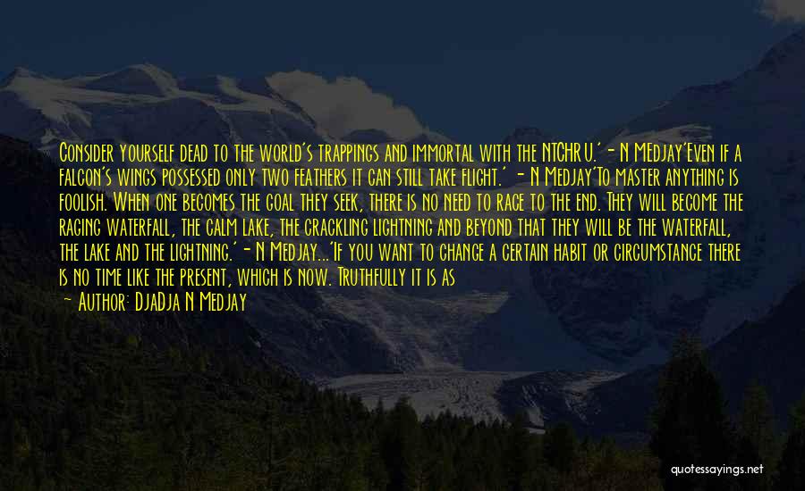 DjaDja N Medjay Quotes: Consider Yourself Dead To The World's Trappings And Immortal With The Ntchru.'- N Medjay'even If A Falcon's Wings Possessed Only