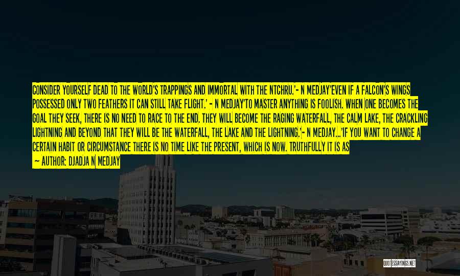 DjaDja N Medjay Quotes: Consider Yourself Dead To The World's Trappings And Immortal With The Ntchru.'- N Medjay'even If A Falcon's Wings Possessed Only