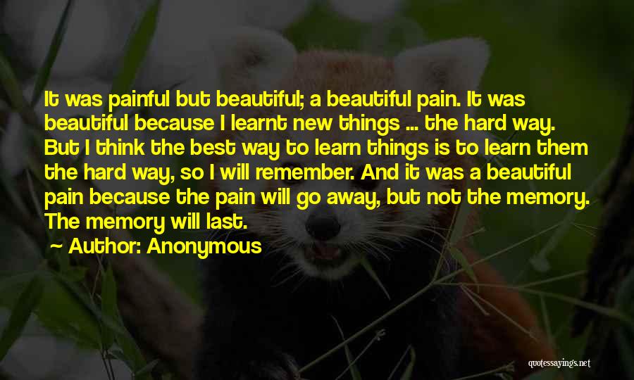 Anonymous Quotes: It Was Painful But Beautiful; A Beautiful Pain. It Was Beautiful Because I Learnt New Things ... The Hard Way.