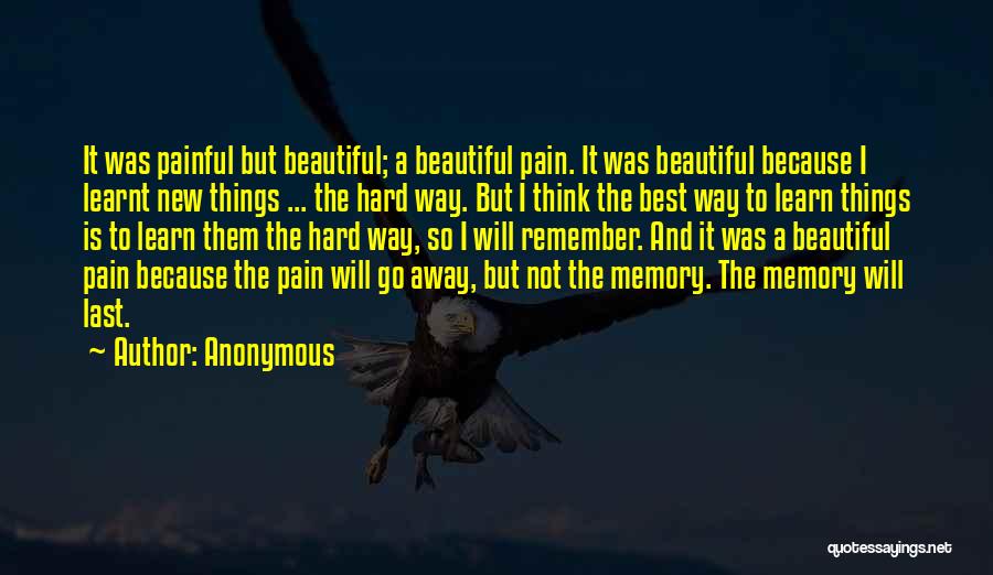 Anonymous Quotes: It Was Painful But Beautiful; A Beautiful Pain. It Was Beautiful Because I Learnt New Things ... The Hard Way.