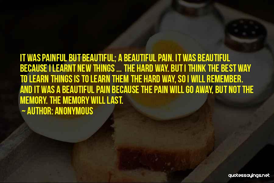 Anonymous Quotes: It Was Painful But Beautiful; A Beautiful Pain. It Was Beautiful Because I Learnt New Things ... The Hard Way.